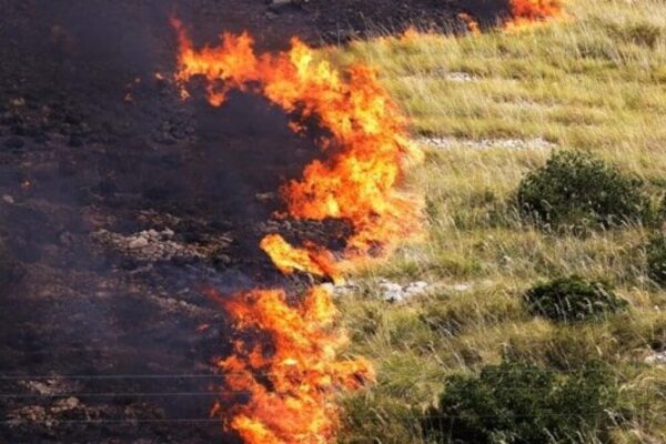 Incendi boschivi sicilia tra regioni piu rischio