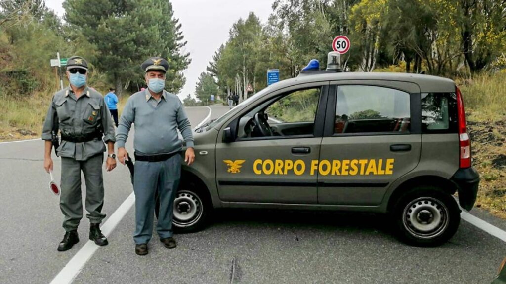 Ambiente direttiva savarino al corpo forestale intensificare