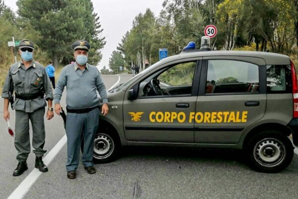 Ambiente direttiva savarino al corpo forestale intensificare